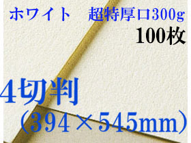 ミューズ　ホワイトワトソン＜超特厚口300g＞４切判（394×545mm） １００枚