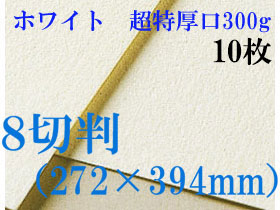 ミューズ　ホワイトワトソン＜超特厚口300g＞８切判（272×394mm） １０枚