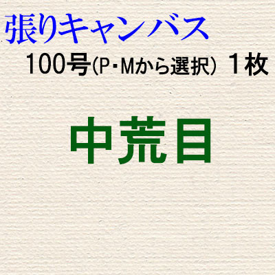 純麻張りキャンバス 中荒目 １００号（P・Mから選択） １枚組