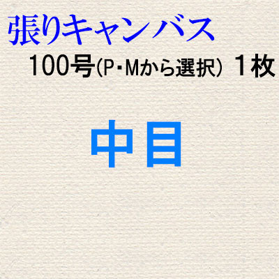 純麻張りキャンバス 中目 100号（P・Mから選択） 1枚組 額縁画材