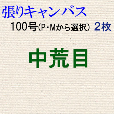 純麻張りキャンバス 中荒目 １００号（P・Mから選択） ２枚組