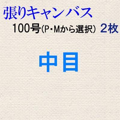 純麻張りキャンバス 中目 １００号（P・Mから選択）　２枚組