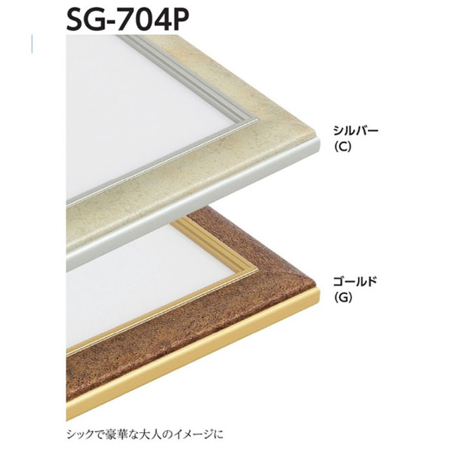 送料無料】SG-704P 30号 アクリル付[水彩・デッサン用額縁]（カラー