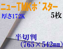 ミューズ　ニューTMKポスター＜厚口172K＞ 半切判 ５枚