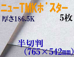 ミューズ　ニューTMKポスター＜特厚口186.5K＞ 半切判 ５枚