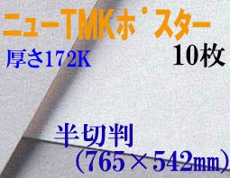 ミューズ　ニューTMKポスター＜厚口172K＞ 半切判 １０枚