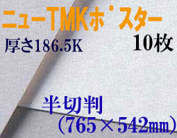 ミューズ　ニューTMKポスター＜特厚口186.5K＞ 半切判 １０枚