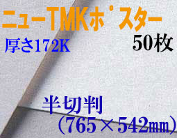 ミューズ　ニューTMKポスター＜厚口172K＞ 半切判 ５０枚