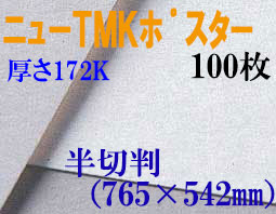 ミューズ　ニューTMKポスター＜厚口172K＞ 半切判 １００枚