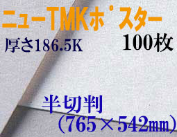 ミューズ　ニューTMKポスター＜特厚口186.5K＞ 半切判 １００枚