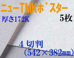 ミューズ　ニューTMKポスター＜厚口172K＞ ４切判 ５枚