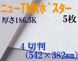 ミューズ　ニューTMKポスター＜特厚口186.5K＞ ４切判 ５枚