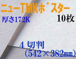 ミューズ　ニューTMKポスター＜厚口172K＞ ４切判 １０枚