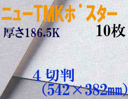 ミューズ　ニューTMKポスター＜特厚口186.5K＞ ４切判 １０枚