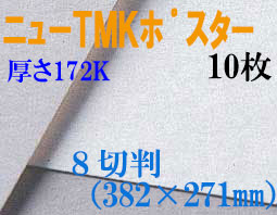 ミューズ　ニューTMKポスター＜厚口172K＞ ８切判 １０枚