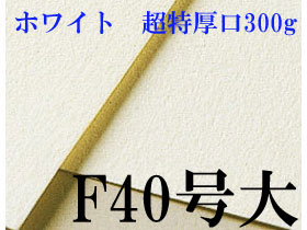 ミューズ　ホワイトワトソン水彩紙 F40号大（843×1040mm）＜超特厚口300g＞ ３枚／１箱