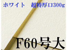 ミューズ　ホワイトワトソン水彩紙 F60号大（1010×1343mm）＜超特厚口300g＞ ３枚／１箱