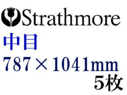 ストラスモア インペリアル水彩紙 中目　３００ｇ　７８７×１０４１　５枚組