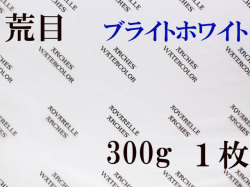 アルシュ水彩紙 ブライトホワイト　荒目　３００ｇ　５６０×７６０ｍｍ　１枚組