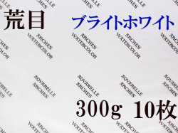 アルシュ水彩紙 ブライトホワイト　荒目　３００ｇ　５６０×７６０ｍｍ　１０枚組