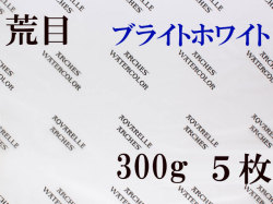 アルシュ水彩紙 ブライトホワイト　荒目　３００ｇ　５６０×７６０ｍｍ　５枚組