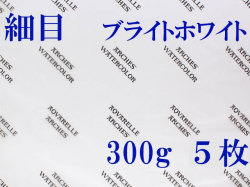 アルシュ水彩紙 ブライトホワイト　細目　３００ｇ　５６０×７６０ｍｍ　５枚組