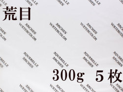 アルシュ水彩紙　荒目　３００ｇ　５６０×７６０ｍｍ　５枚組