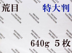 アルシュ 水彩紙　荒目　６４０ｇ　１,０５０×７５０　５枚