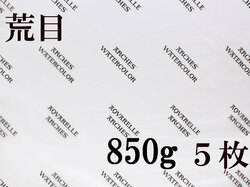 アルシュ 水彩紙　荒目　８５０ｇ　５６０×７６０（枚数選択）