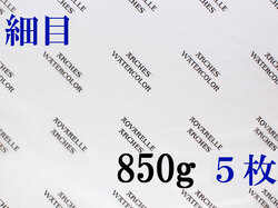 アルシュ 水彩紙　細目　８５０ｇ　５６０×７６０（枚数選択）