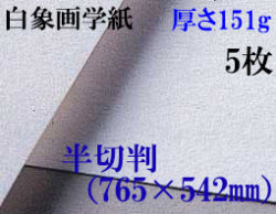 ミューズ　白象画学紙＜厚口125K＞　半切判　５枚