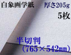 ミューズ　白象画学紙＜特厚口170K＞　半切判　５枚