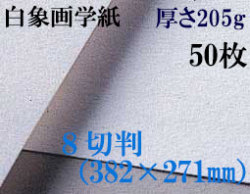 ミューズ　白象画学紙＜特厚口170K＞　８切判　５０枚