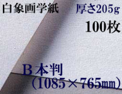 ミューズ　白象画学紙＜厚口125K＞　Ｂ本判　１００枚