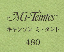 キャンソン　ミ・タント　４８０ ライトグリーン