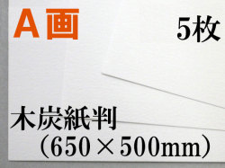 ミューズ　Ａ画用紙＜厚口１６２.７ｇ＞　木炭紙判　5枚