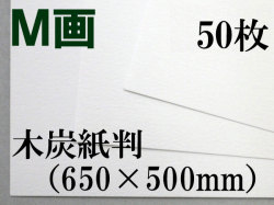 ミューズ M画用紙＜特厚口210.8g＞ 木炭紙判 50枚 額縁画材ドットコム