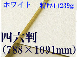 【送料無料】ミューズ　ホワイトワトソン水彩紙＜特厚口239g＞四六判（1,091mm×788mm）（枚数選択）
