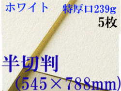 ミューズ　ホワイトワトソン＜特厚口239g＞半切判（545×788mm） ５枚