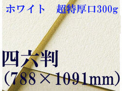 【送料無料】ミューズ　ホワイトワトソン水彩紙＜超特厚口300g＞四六判（1,091mm×788mm）（枚数選択）