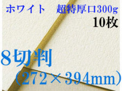 ミューズ　ホワイトワトソン＜超特厚口300g＞８切判（272×394mm） １０枚