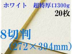 ミューズ　ホワイトワトソン水彩紙＜超特厚口300g＞８切判（272×394mm） ２０枚