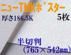 ミューズ　ニューTMKポスター＜特厚口186.5K＞ 半切判 ５枚