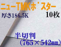 ミューズ　ニューTMKポスター＜特厚口186.5K＞ 半切判 １０枚