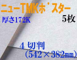 ミューズ　ニューTMKポスター＜厚口172K＞ ４切判 ５枚