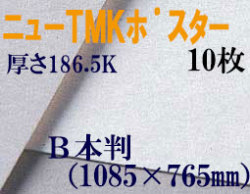 ミューズ　ニューTMKポスター＜特厚口186.5K＞ Ｂ本判 ２０枚