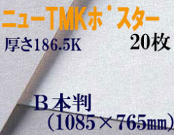 ミューズ　ニューTMKポスター＜特厚口186.5K＞ Ｂ本判 ２０枚