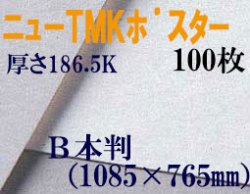 ミューズ　ニューTMKポスター＜特厚口186.5K＞　Ｂ本判　１００枚