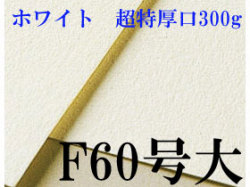 ミューズ　ホワイトワトソン水彩紙 F60号大（1010×1343mm）＜超特厚口300g＞ ３枚／１箱