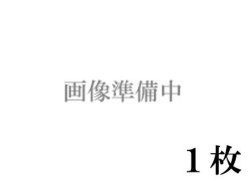 ラングトン水彩紙（パルプ100％）中目　３００g　５６０×７６０　１枚組